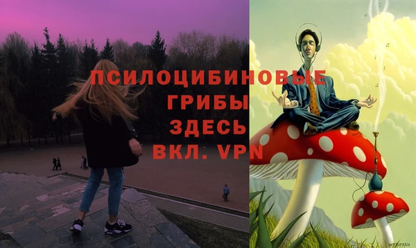 прущий лед Алексин