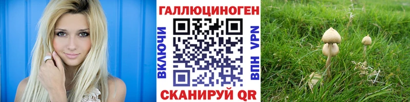 Псилоцибиновые грибы мицелий  Шелехов 